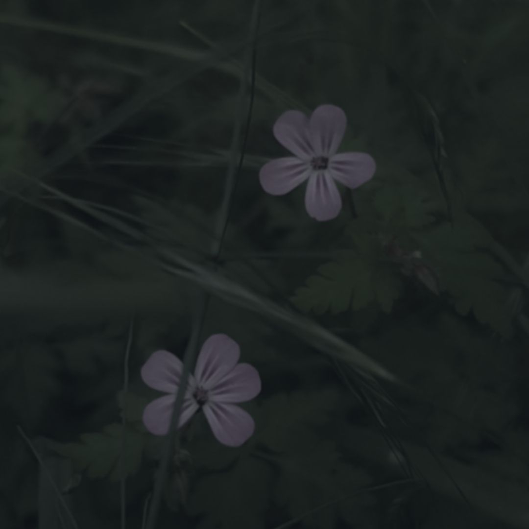 Architecture abstraite faite de cercles et de flux, profondeur froide