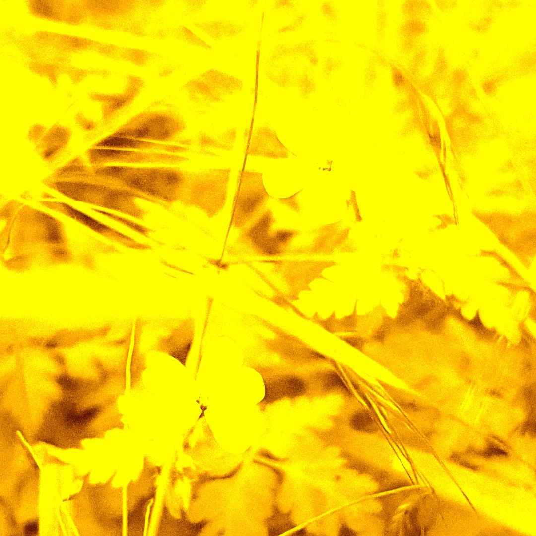 Poignée de main moderne entre une main humaine et une main végétale